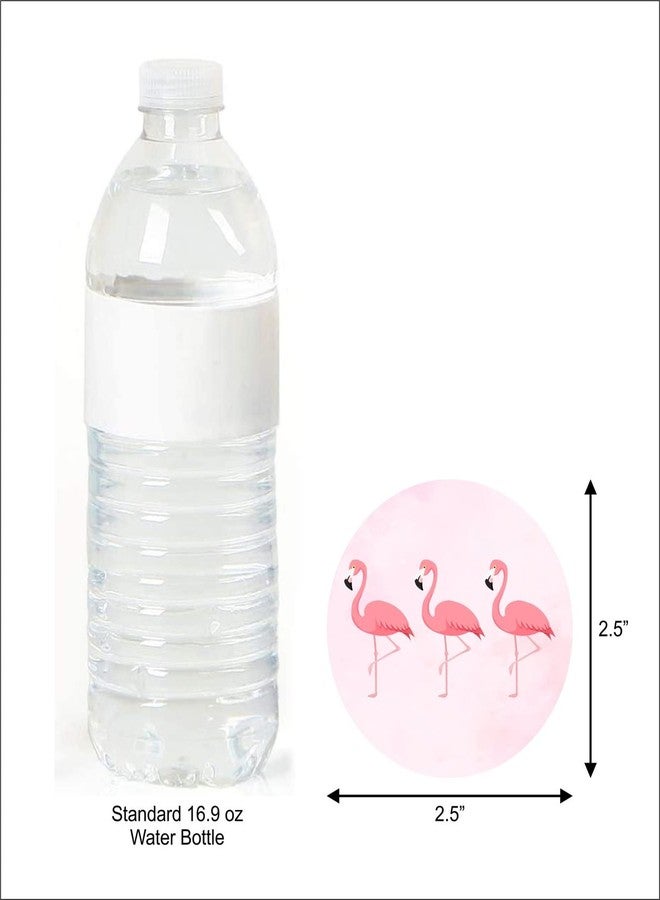 ثيم ماي بارتي زينة حفلات عيد ميلاد الفتيات (لنكن فلامنجو - علامات) - Image 3